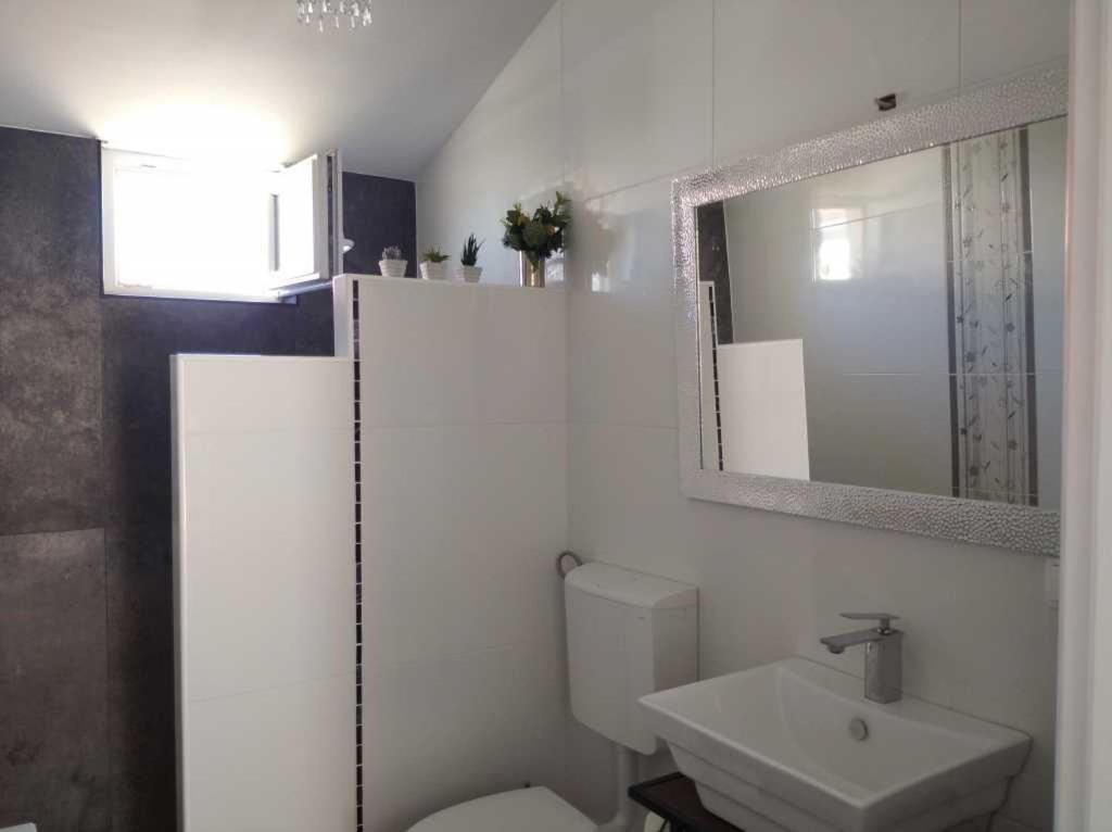 Dandy Apartment Povljana Ngoại thất bức ảnh
